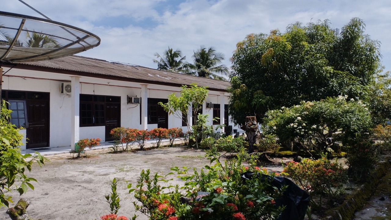 Photo of Outdoor in Sampit