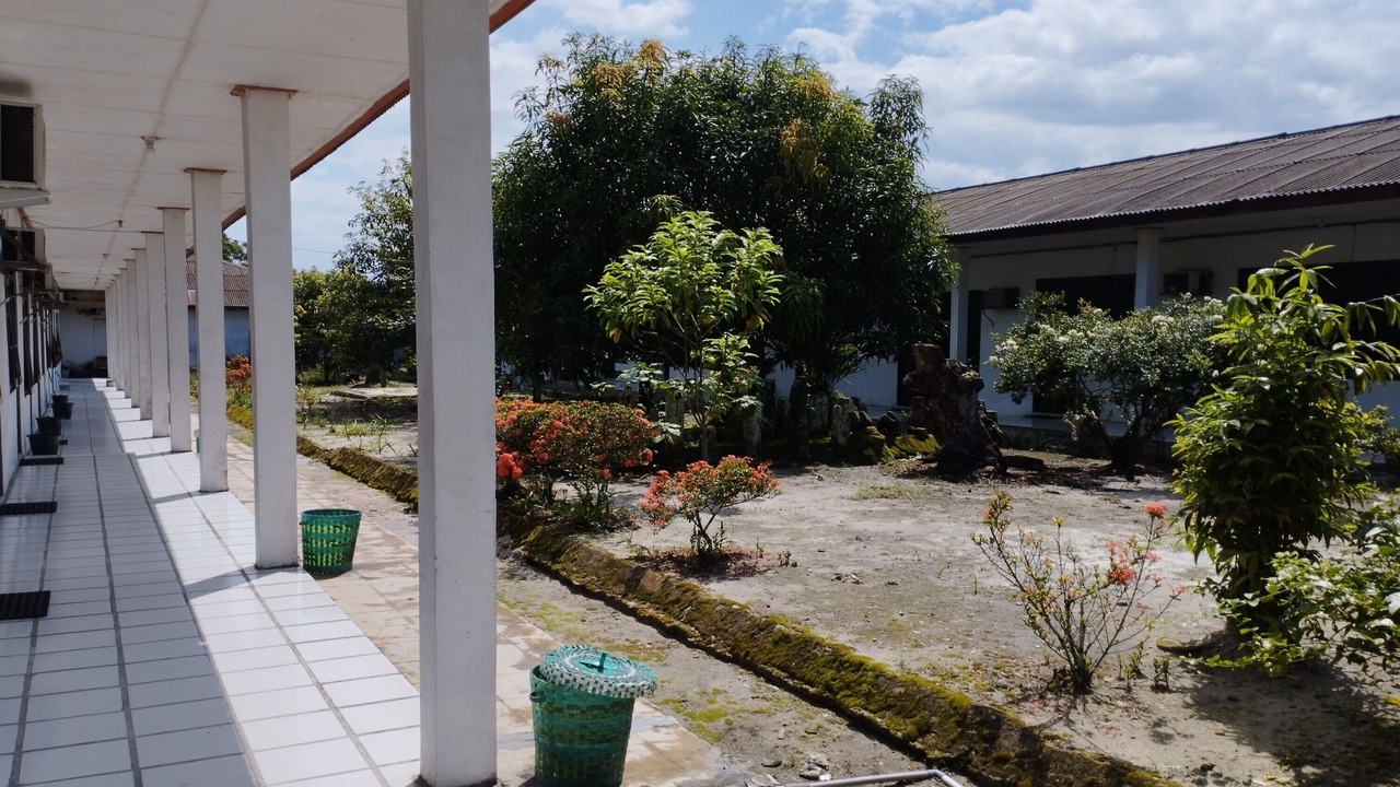 Photo of Outdoor in Sampit