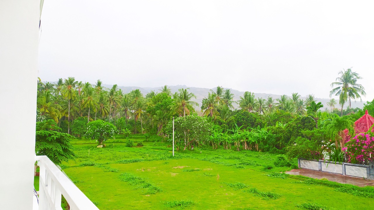Photo of Outdoor in Lovina