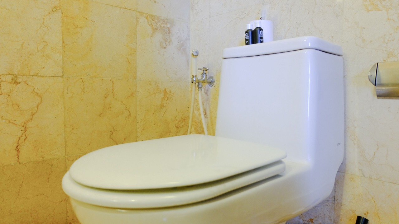 Photo of Bathroom in Braga