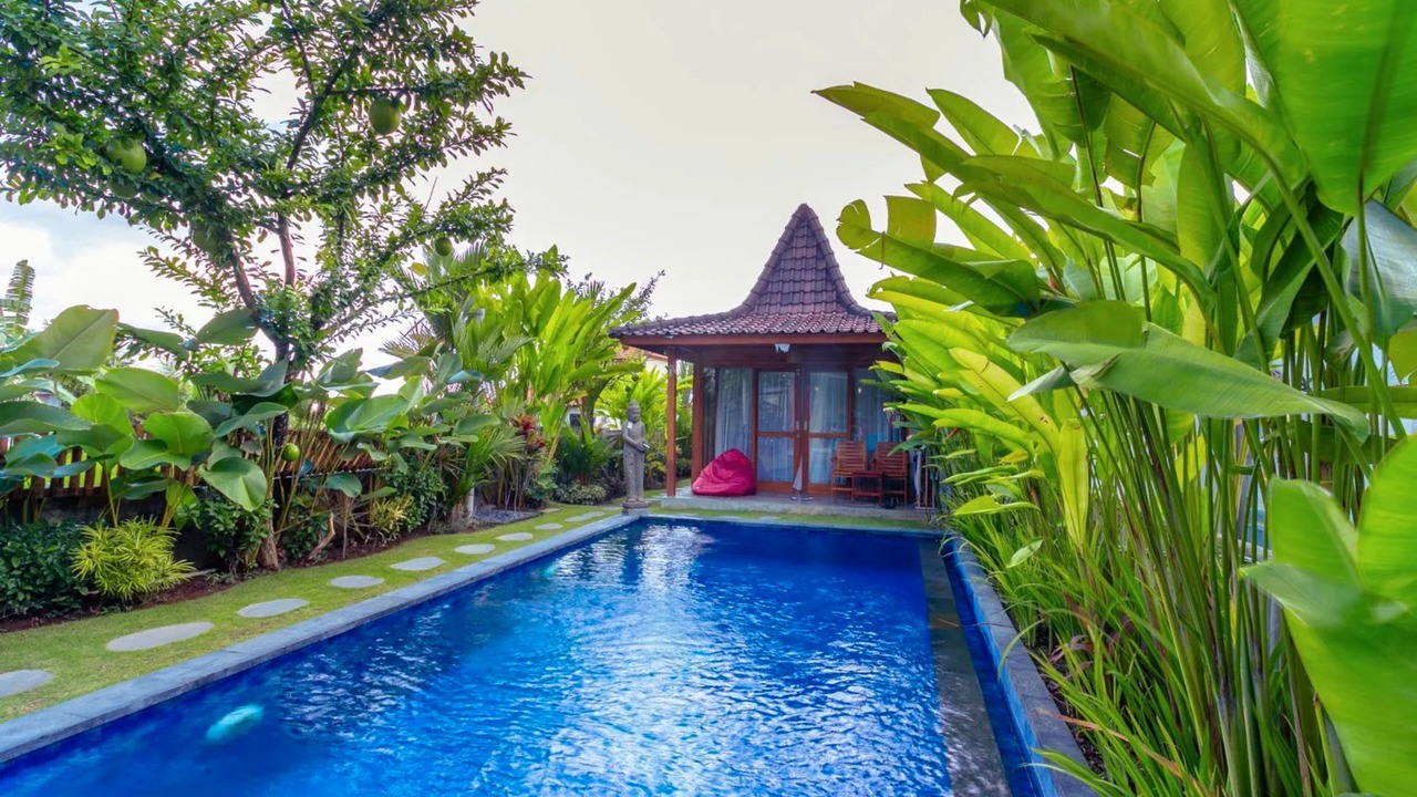 Photo of Outdoor in Munggu