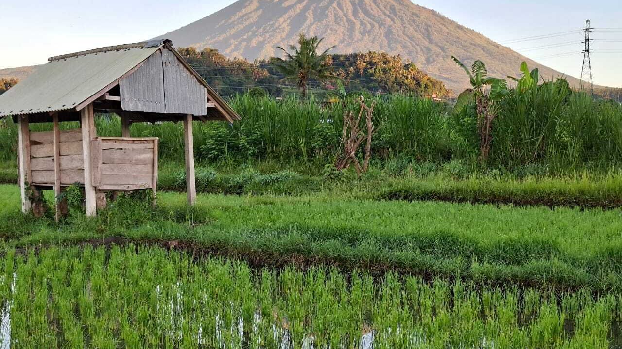 Photo of Outdoor in Karangasem