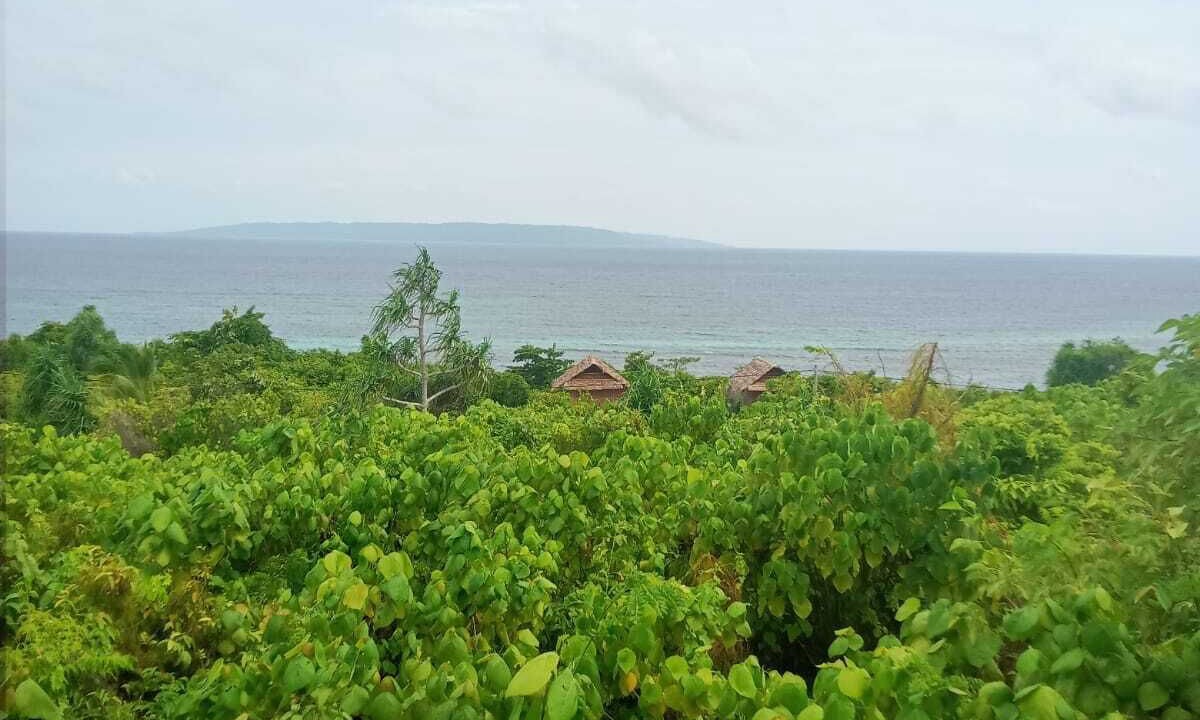 Photo of Others in Tomia Island