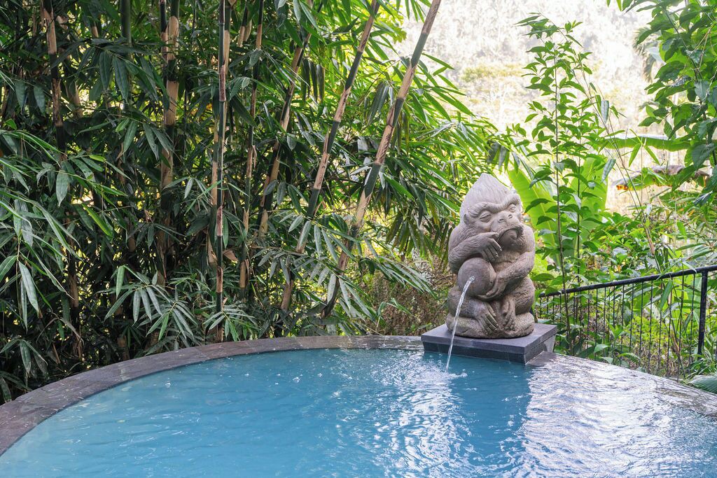 Photo of Outdoor in Taro