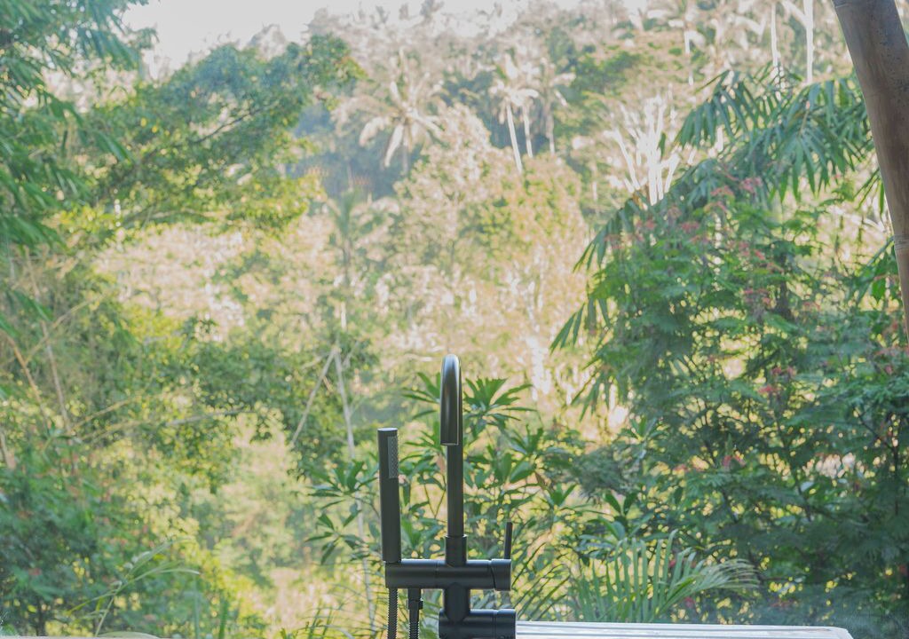 Photo of Others in Taro
