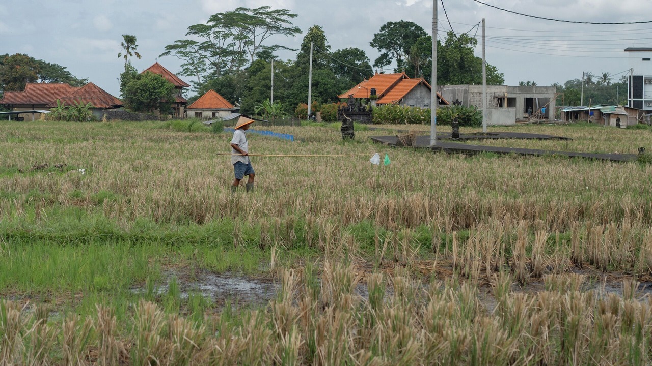 Photo of Others in Mas