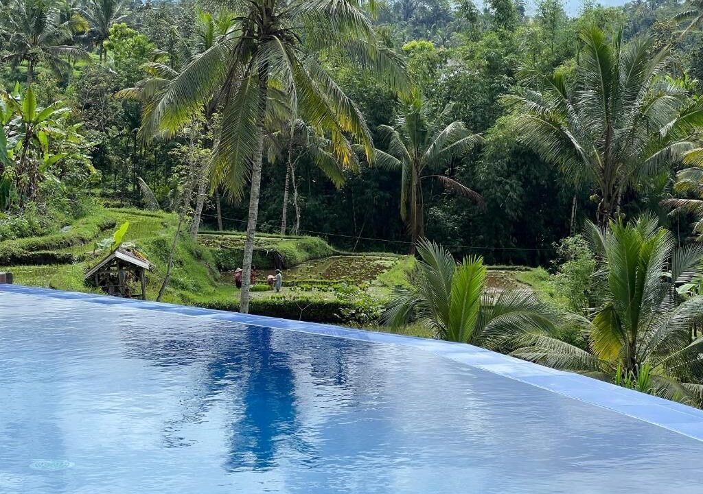 Photo of Outdoor in Tetebatu