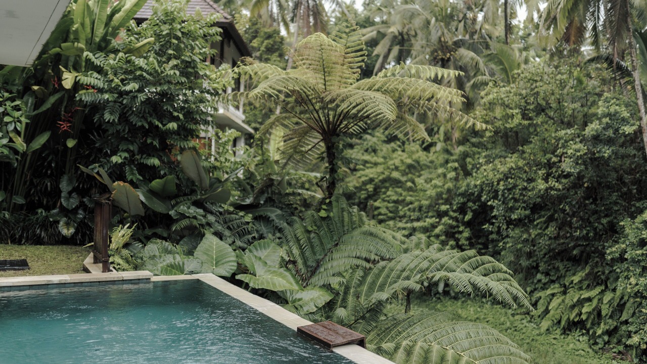 Photo of Outdoor in Kenderan