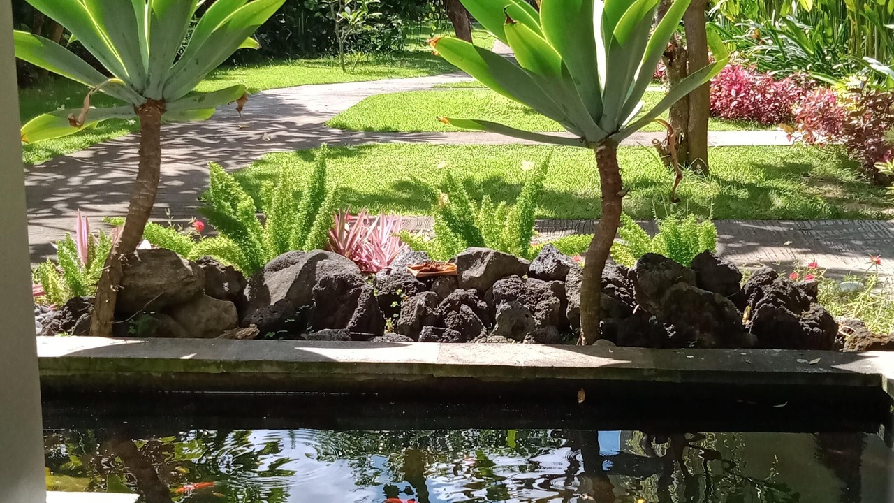 Photo of Outdoor in Seminyak