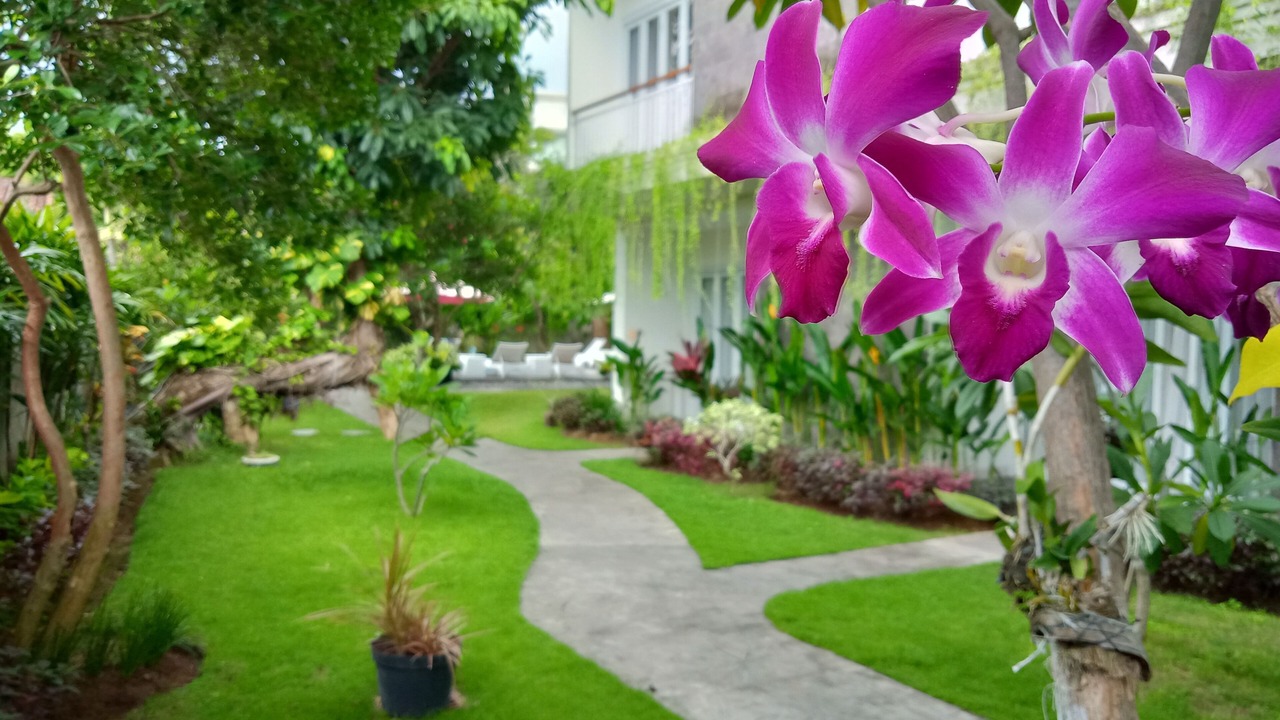 Photo of Outdoor in Seminyak