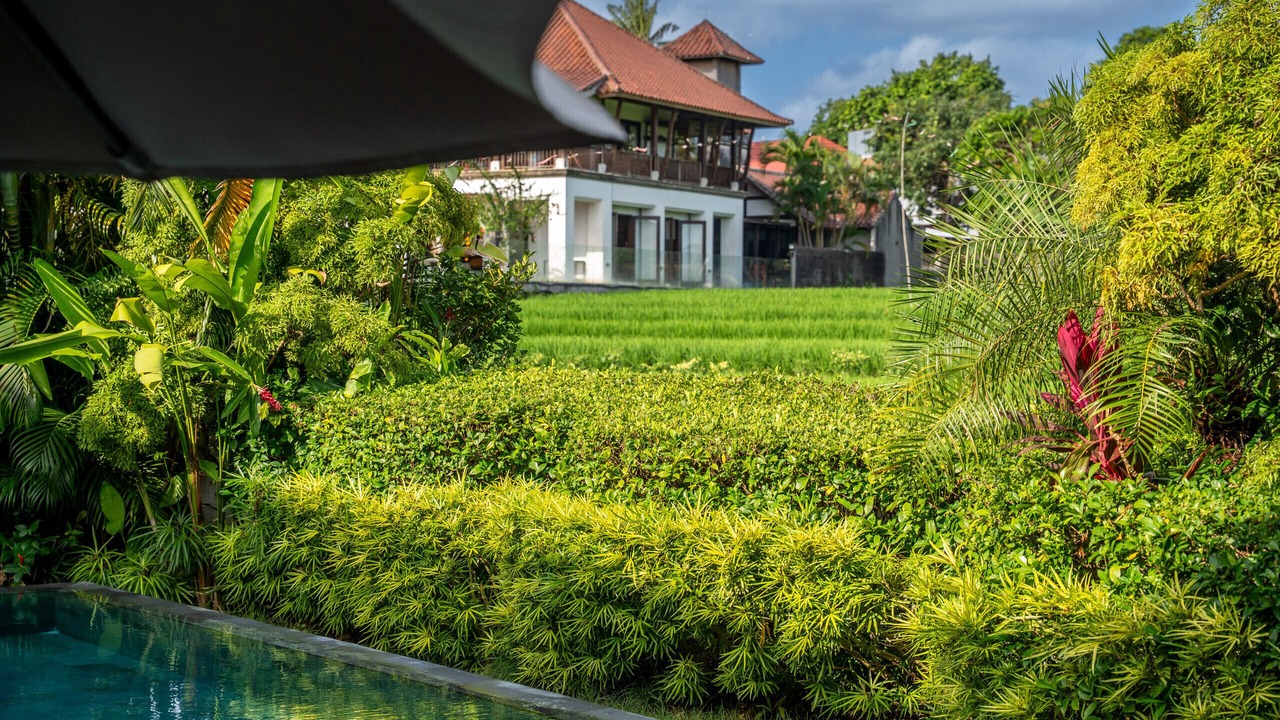 Photo of Outdoor in Pererenan