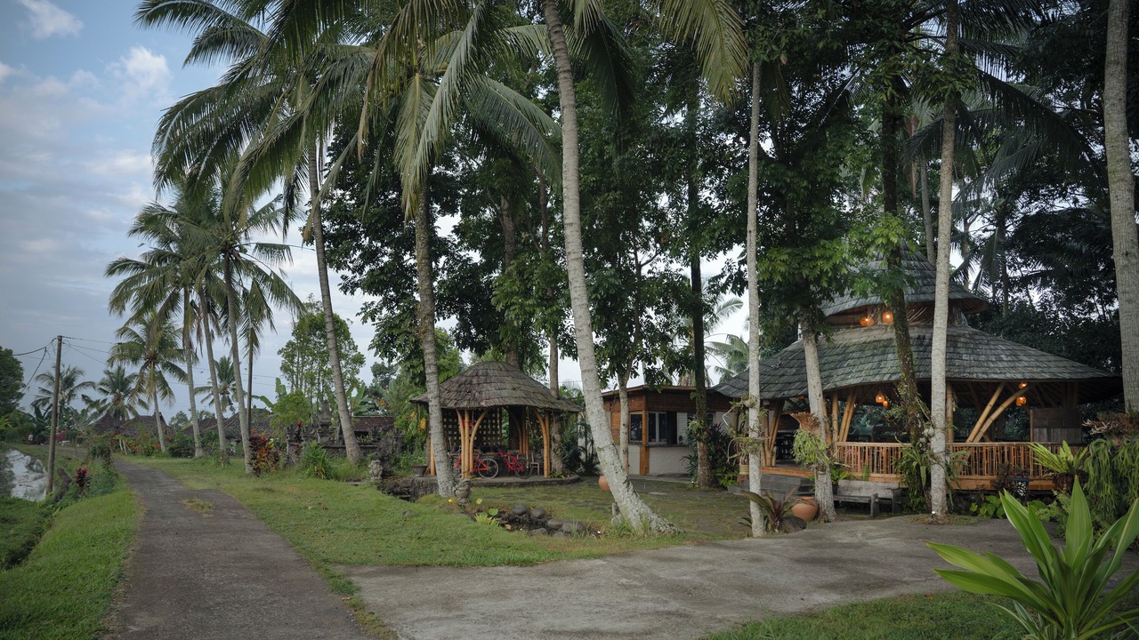 Photo of Outdoor in East Selemadeg