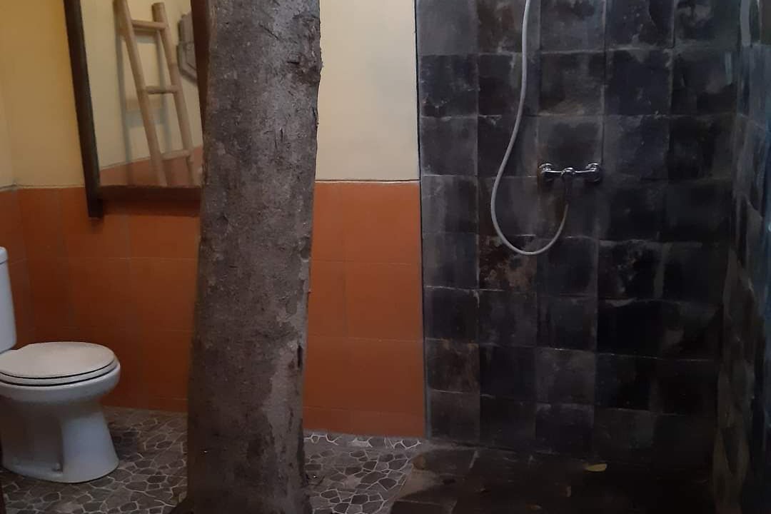 Photo of Bathroom in Dalung
