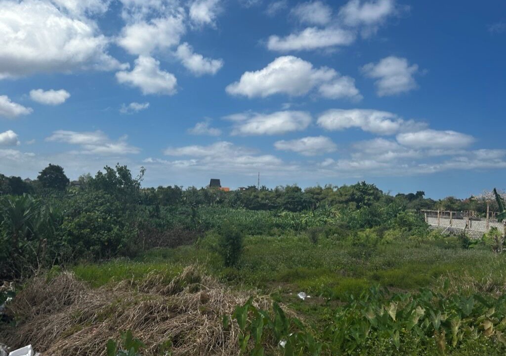 Photo of Others in Padonan