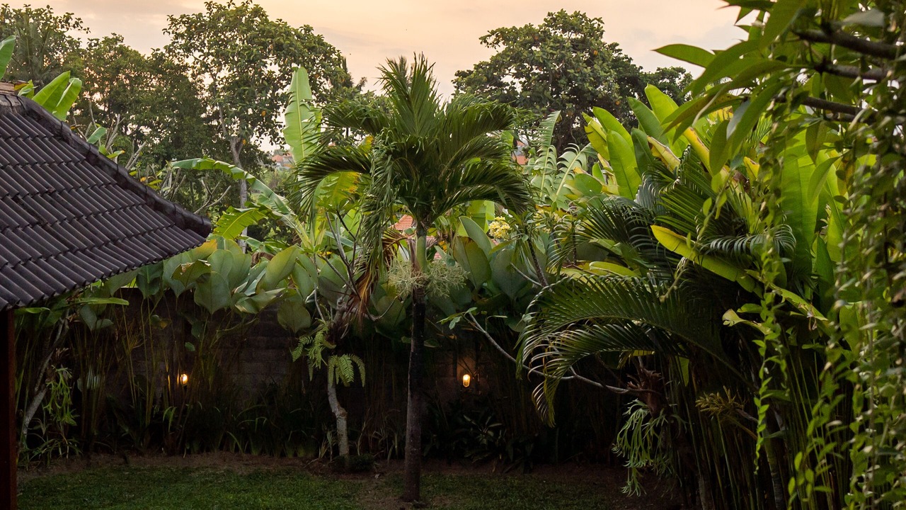 Photo of Outdoor in Babakan