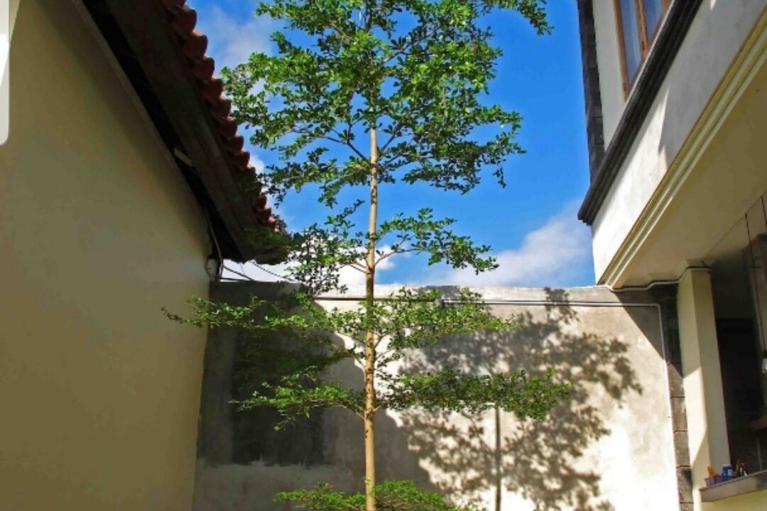Photo of Outdoor in Dewi Sri