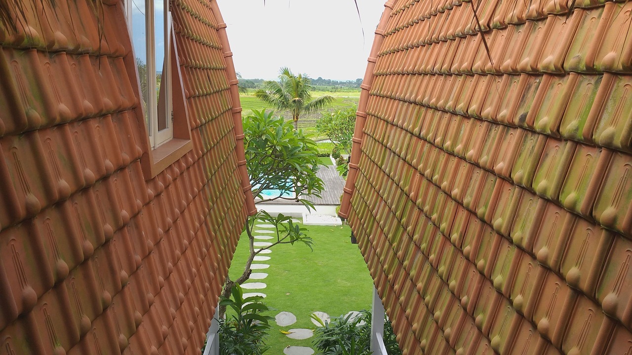 Photo of Outdoor in Dalung