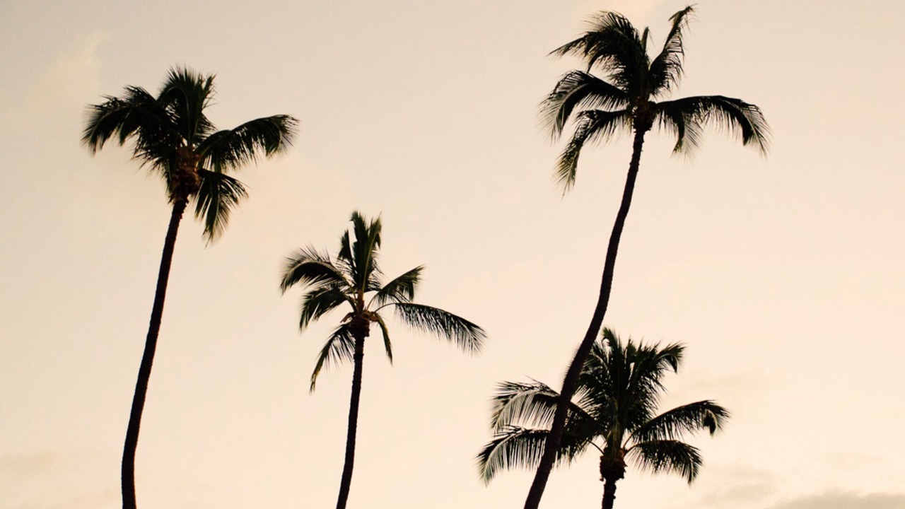 Photo of Others in Seminyak