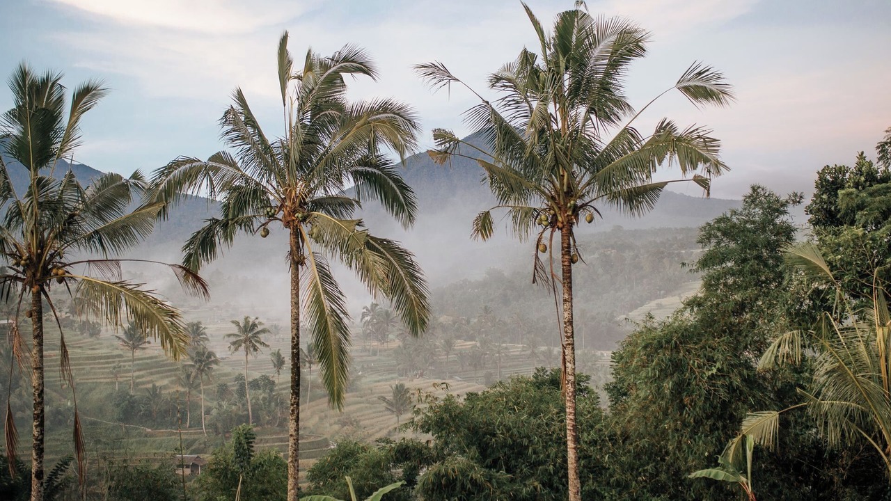 Photo of Others in Batubelig