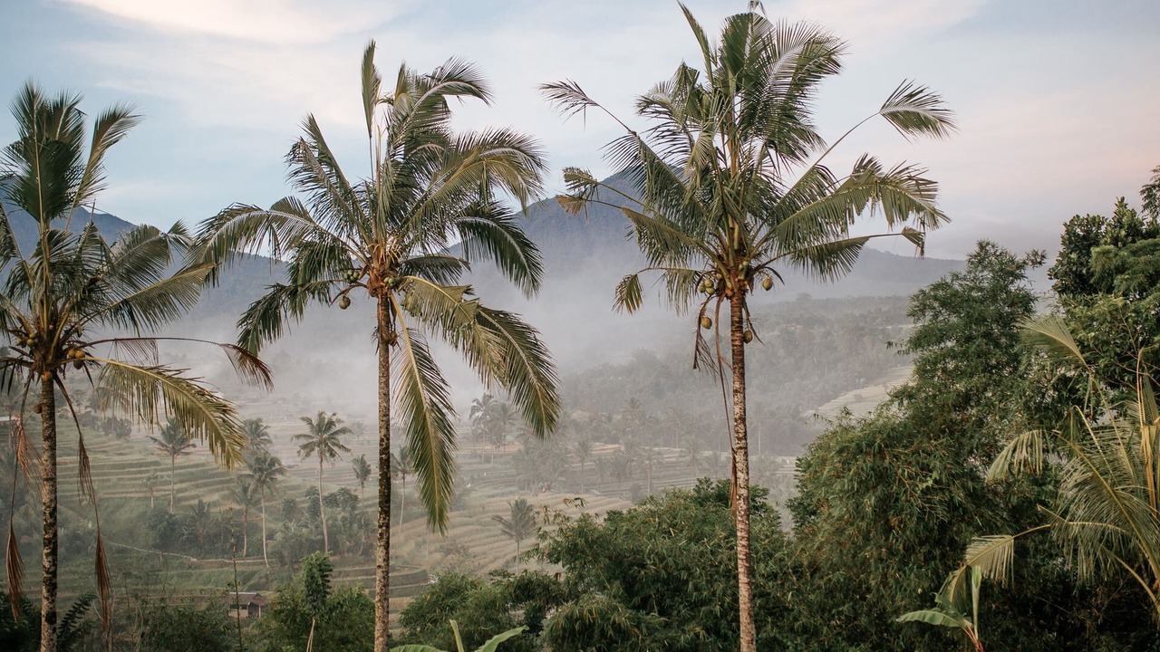 Photo of Outdoor in Batubelig