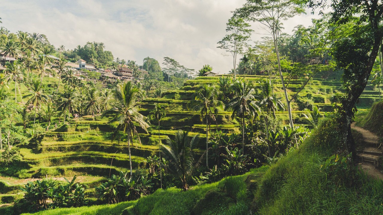 Photo of Outdoor in Laksmana