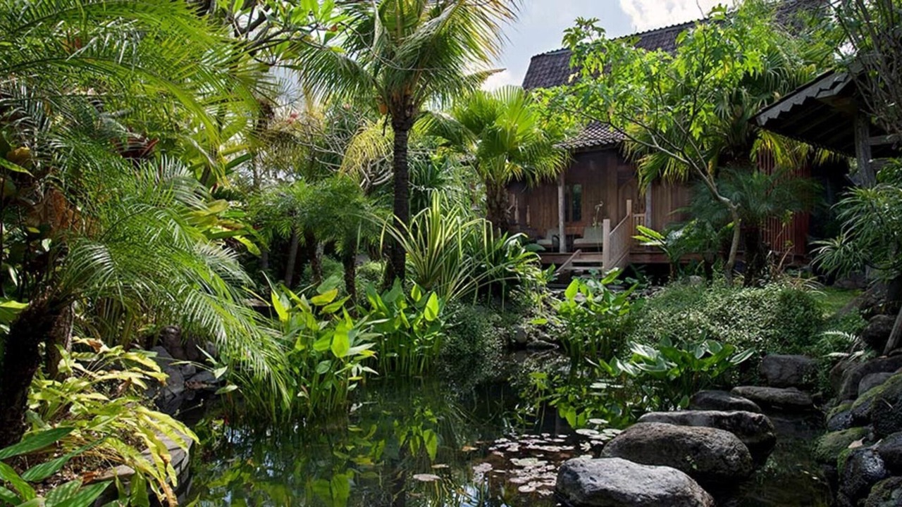 Photo of Outdoor in Berawa