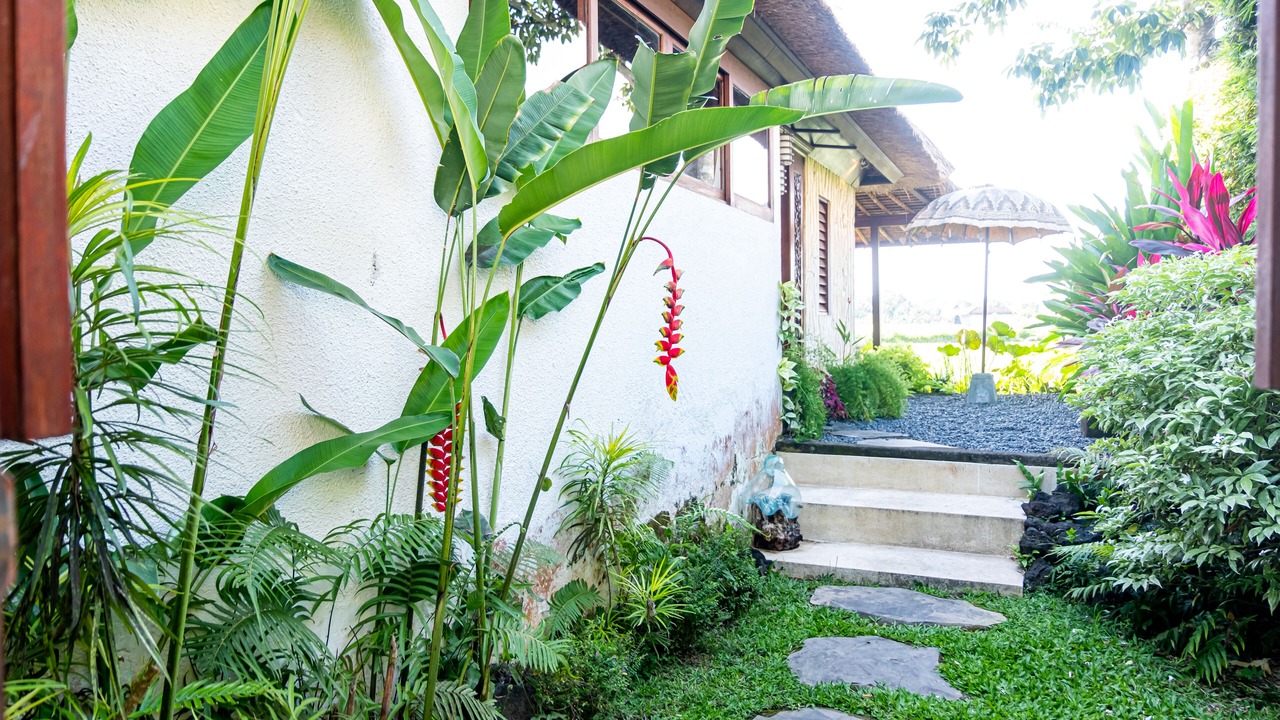 Photo of Outdoor in Ubud