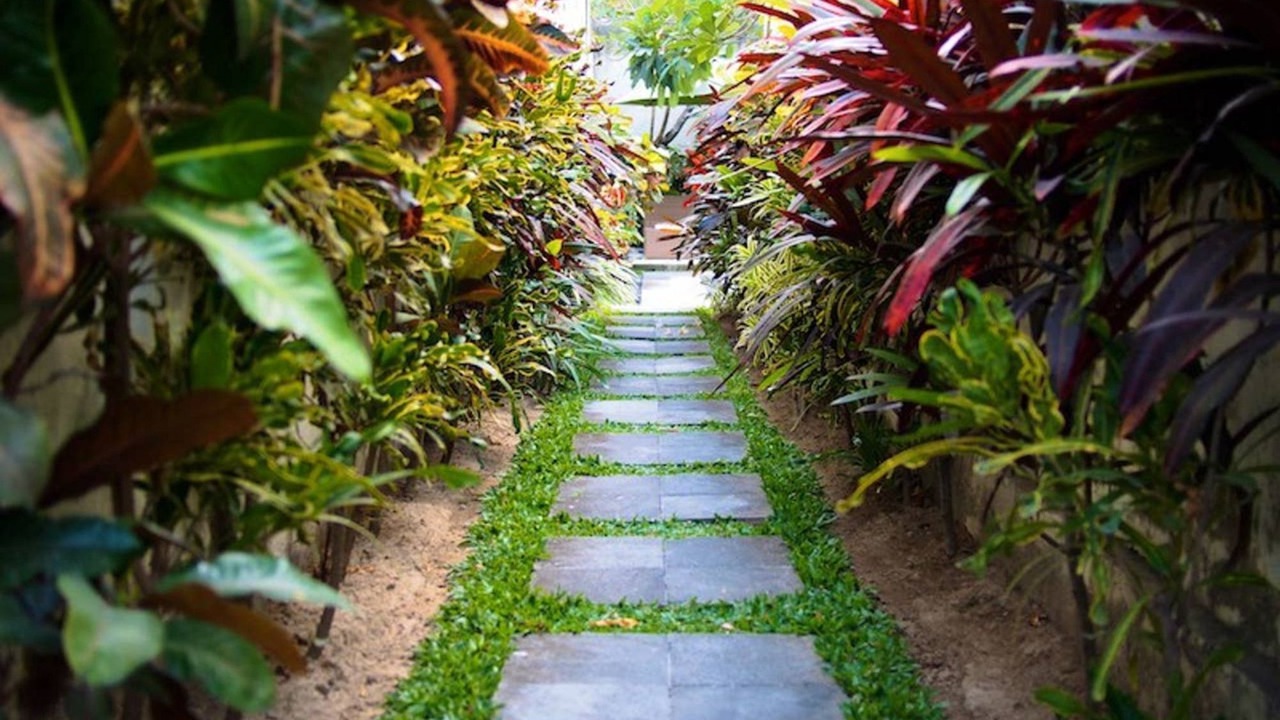 Photo of Outdoor in Seminyak