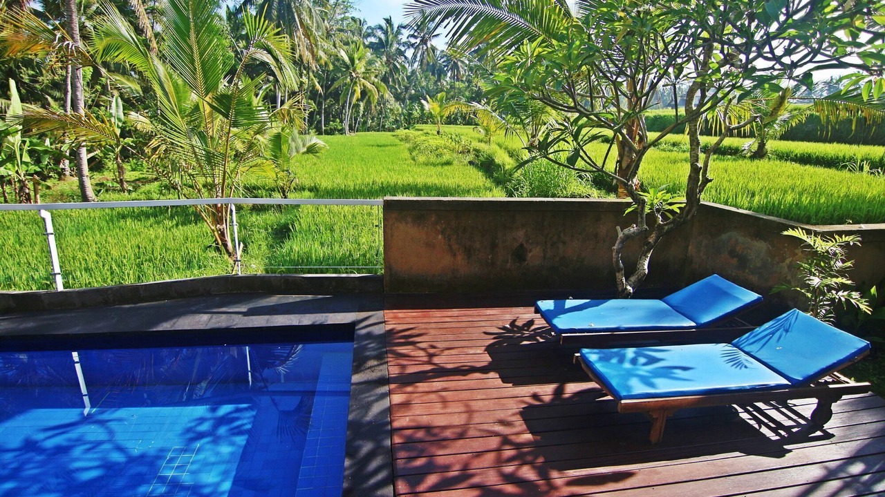 Photo of Outdoor in Pejeng Kawan