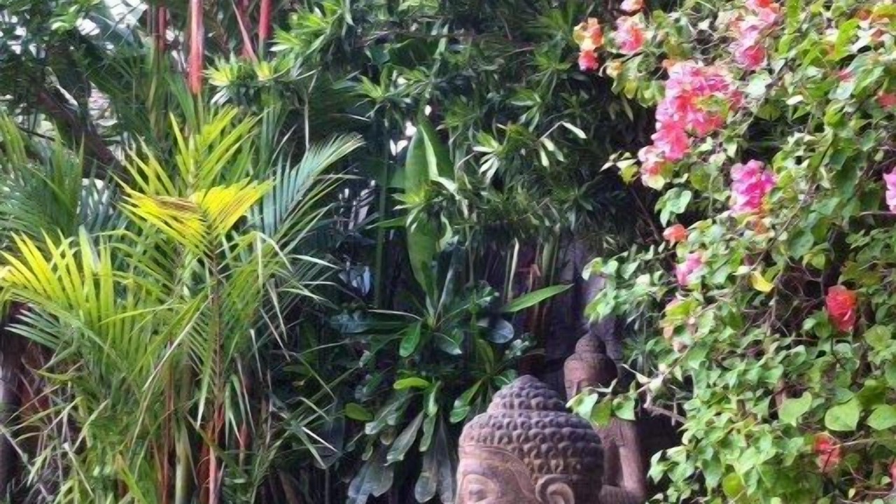 Photo of Outdoor in Legian