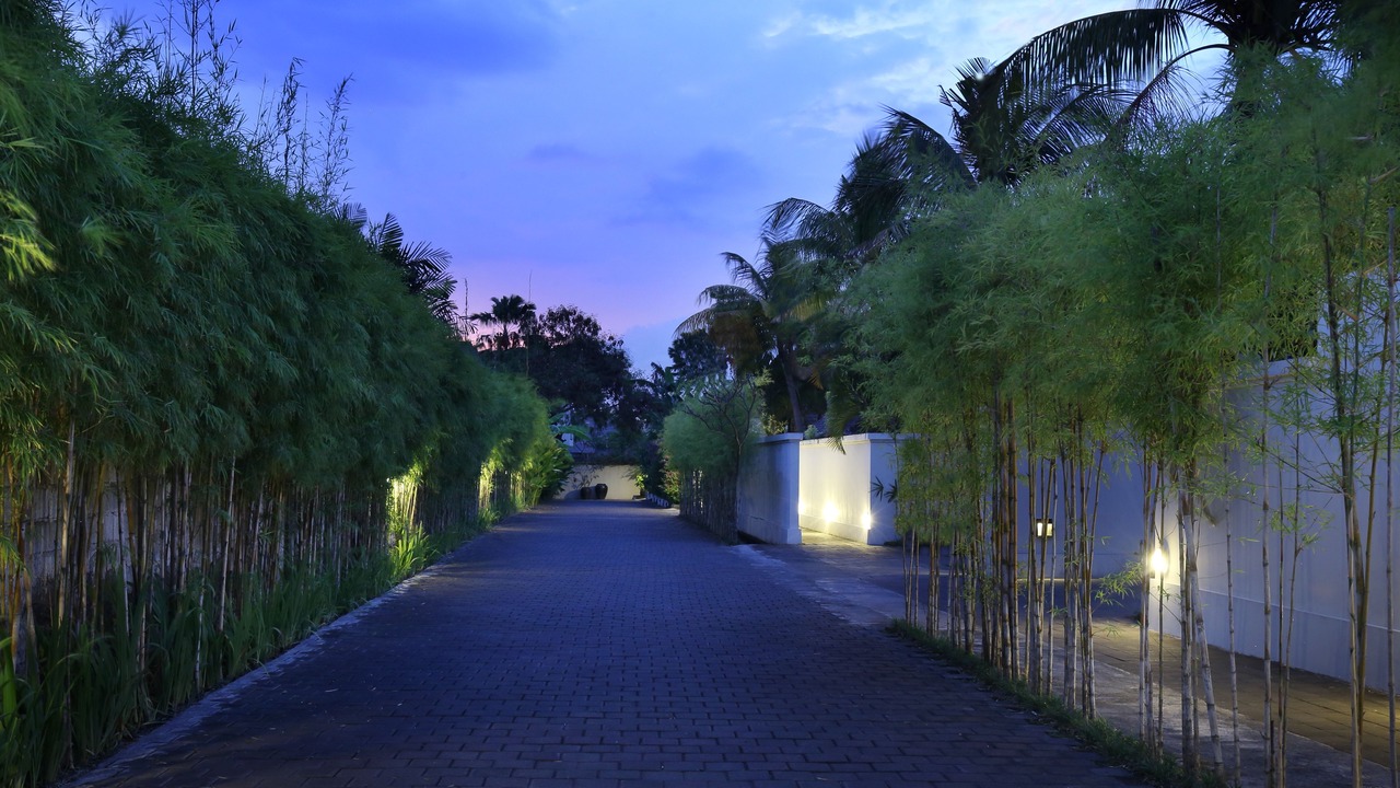 Photo of Others in Seminyak