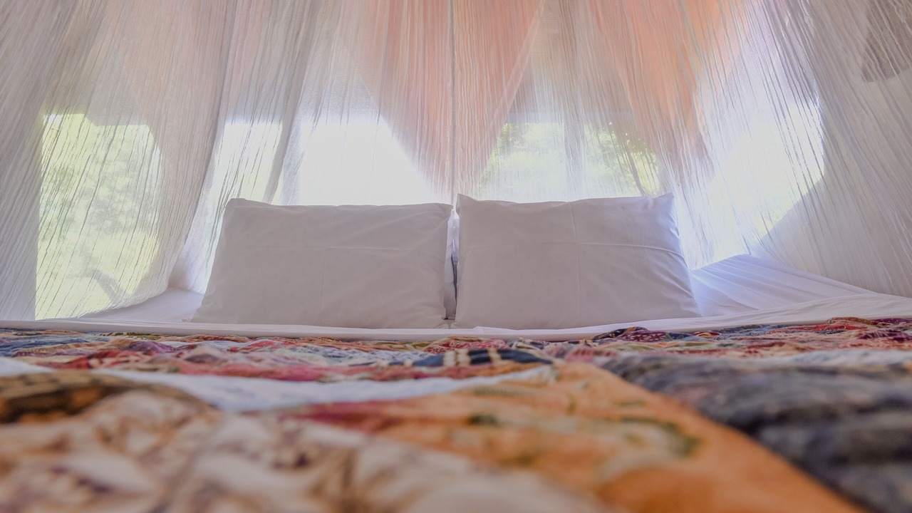 Photo of Bedroom in Dyanapura