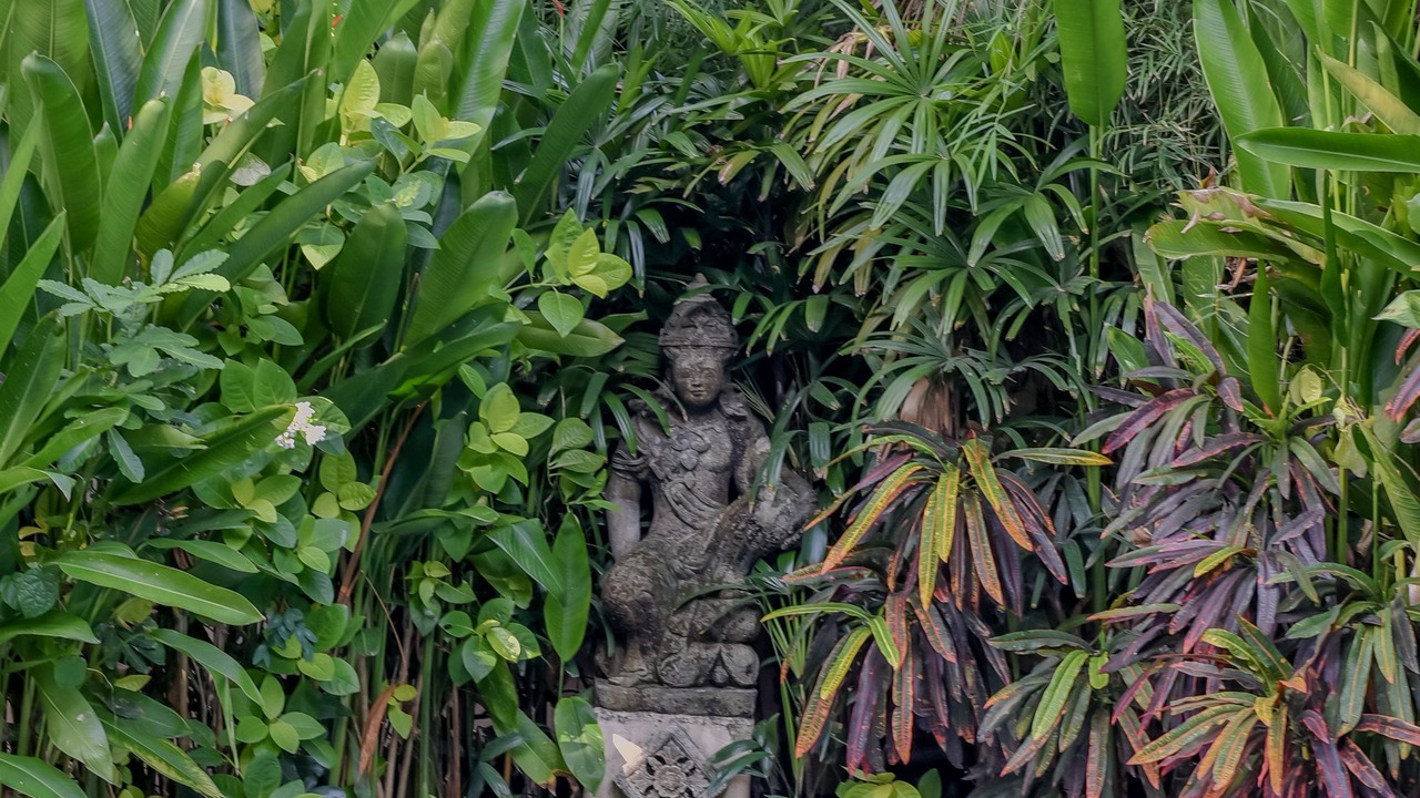 Photo of Outdoor in Dyanapura