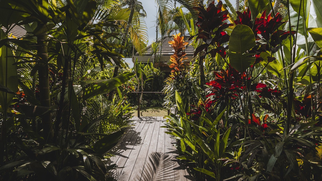 Photo of Outdoor in Pejeng Kawan