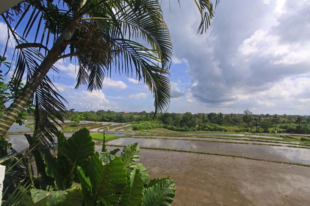 Photo of Outdoor in Babakan
