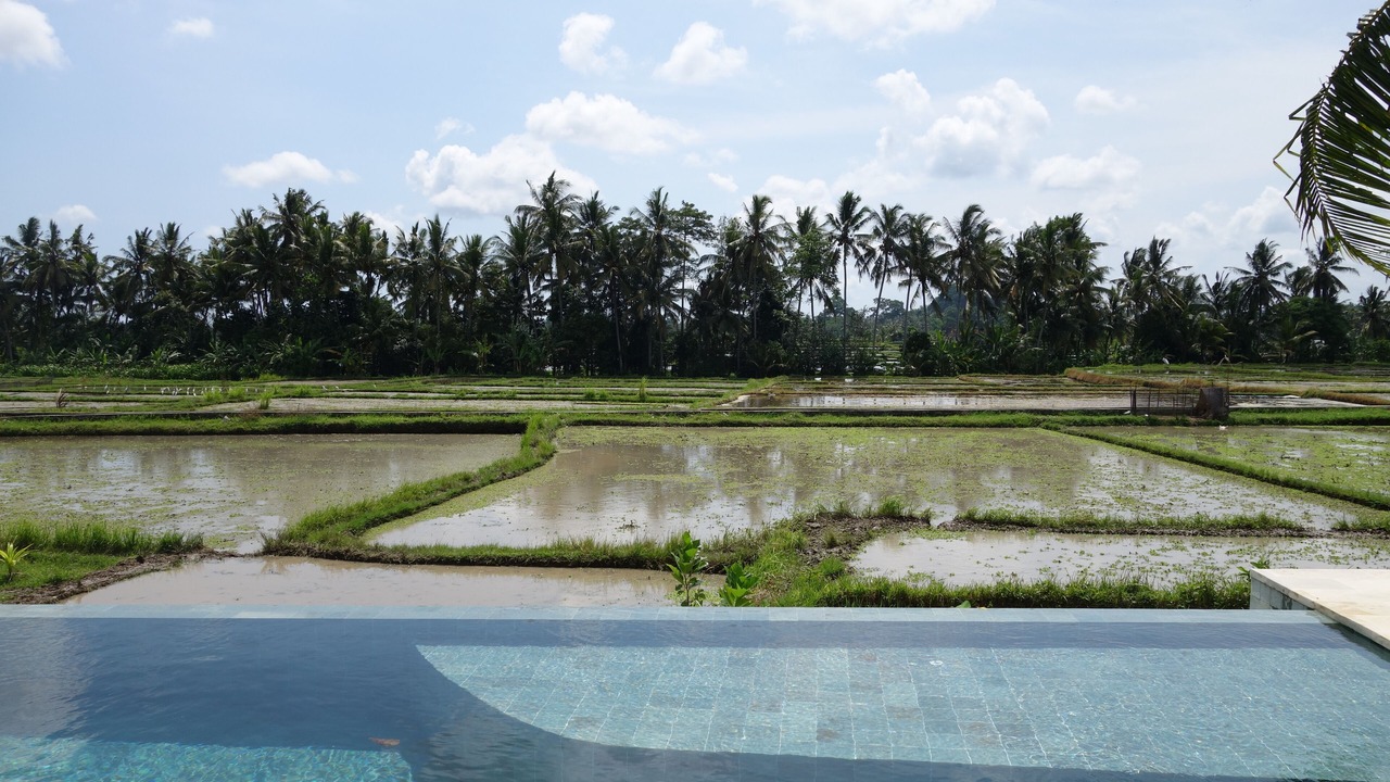 Photo of Outdoor in Pengosekan