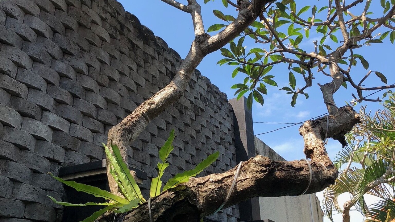 Photo of Outdoor in Kerobokan