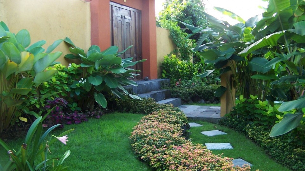 Photo of Outdoor in Dalung