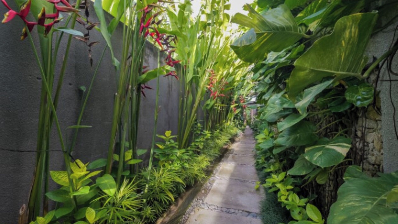 Photo of Outdoor in Kerobokan