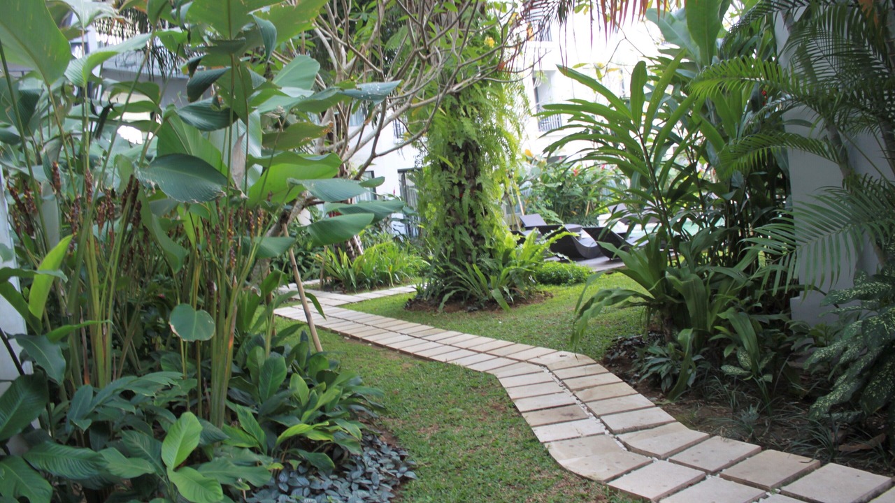 Photo of Outdoor in Raya Kuta