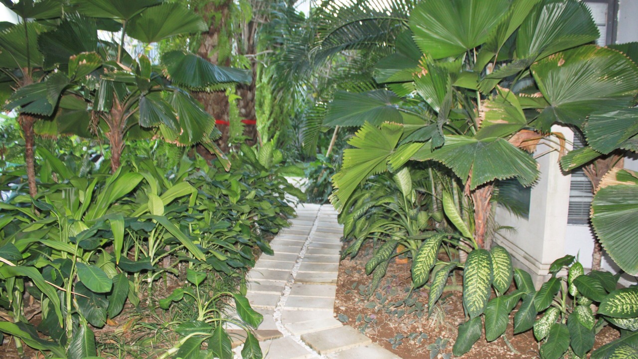 Photo of Outdoor in Raya Kuta