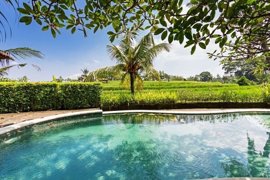 Photo of Outdoor in Padonan