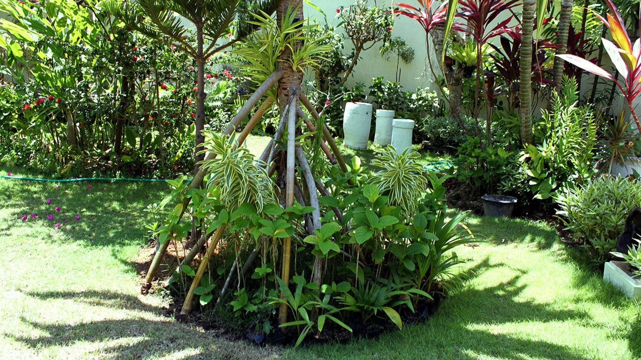 Photo of Outdoor in Raya Kuta