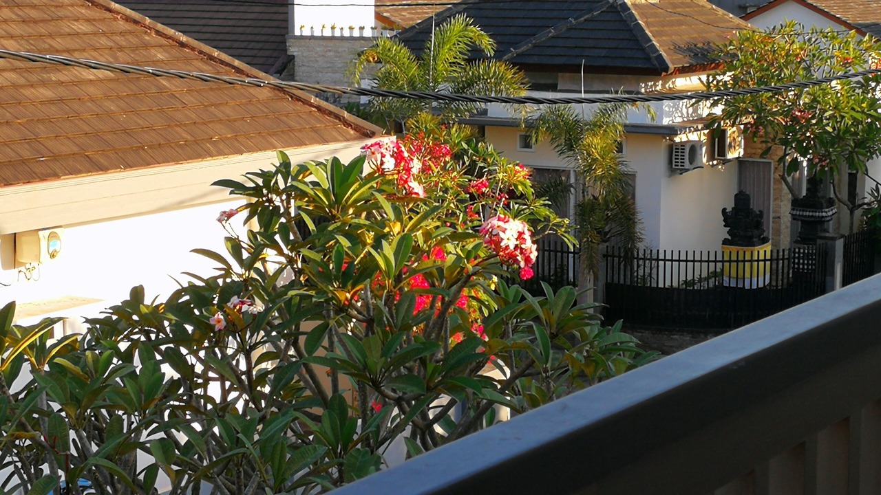 Photo of Outdoor in Seseh