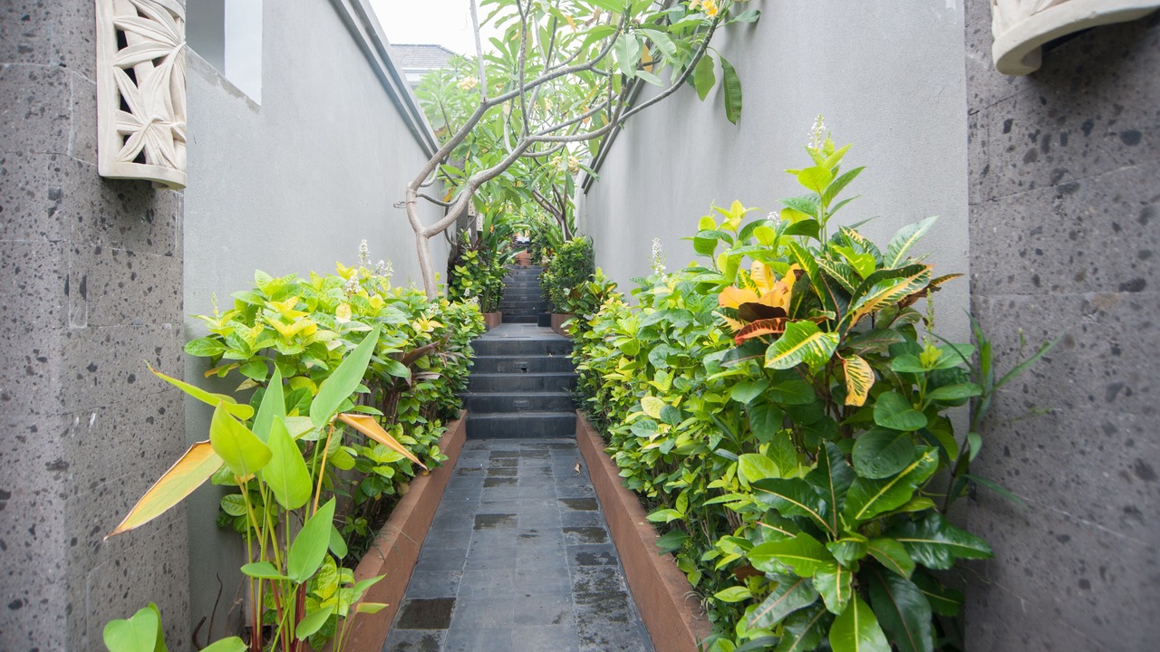Photo of Outdoor in Kerobokan