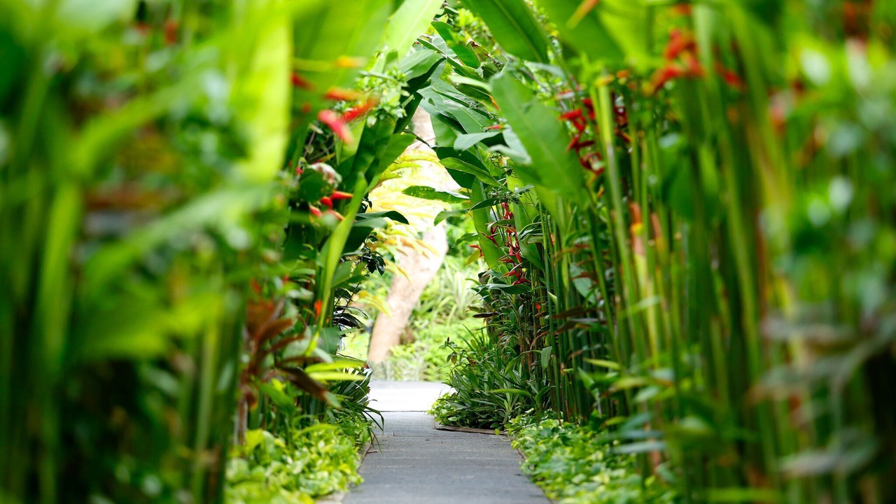 Photo of Outdoor in Nakula