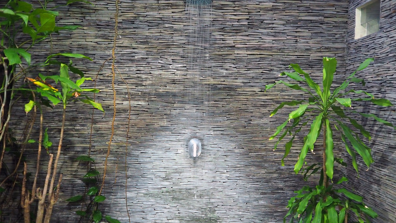 Photo of Outdoor in Drupadi