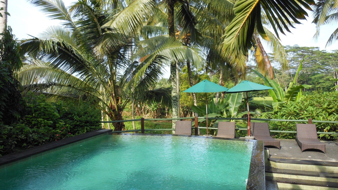 Photo of Outdoor in Ubud