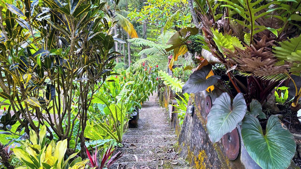 Photo of Outdoor in Penebel