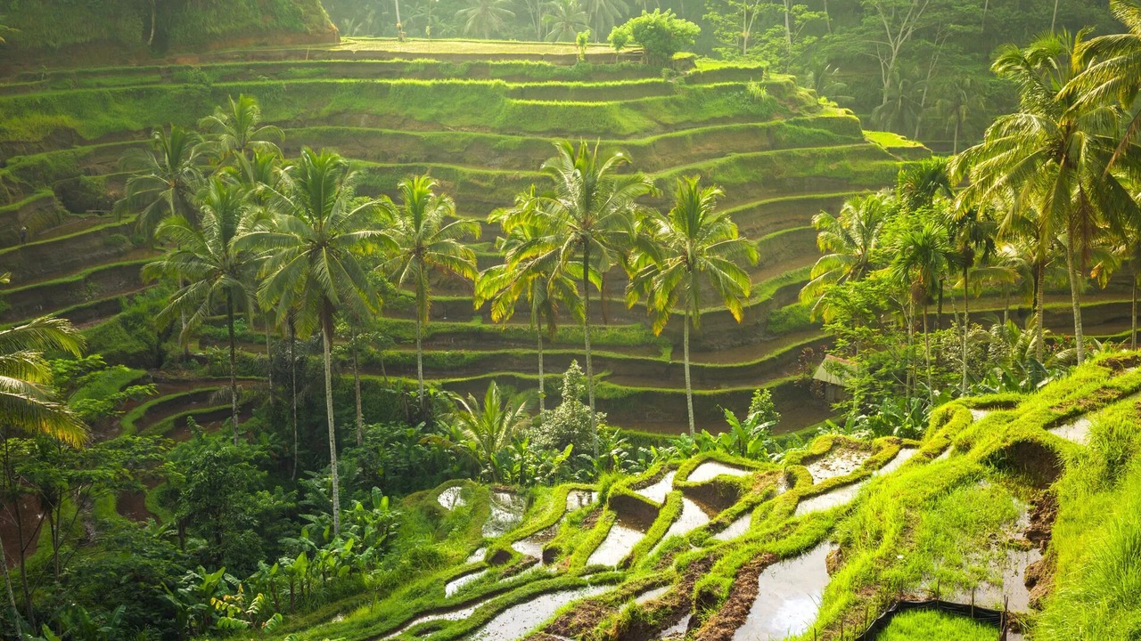 Photo of Outdoor in Petitenget